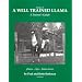 Image of a Well Trained Llama: A Trainer's Guide