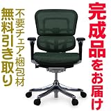 エルゴヒューマンプラス　完成品　ロータイプ　エラストメリックメッシュ　グリーン　Ergohuman plus ＥＨＰ-ＬＡＭ　ＫＭ-14の画像