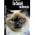 Le Sacr� de Birmanie