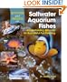 Questions and Answers on Saltwater Aquarium Fishes