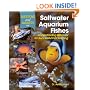 Questions and Answers on Saltwater Aquarium Fishes: Understanding Behavior for Successful Fishkeeping (Questions and Answers On...)