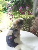 Joybies Patriotic Denim Piddle Pants(tm) for Medium Female Dog (Measuring 15"-17" from Collar to Base of Tail)