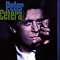 Have A Fundamental Chicago & Peter Cetera Collection