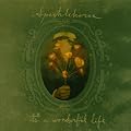 It's A Wonderful Life