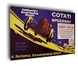 1922 Cotati Speedway Poster Print