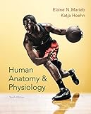 Human Anatomy & Physiology (10th Edition) (Marieb, Human Anatomy & Physiology)