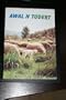 Kabyle - French New Testament Mirror Translation / Awal N Tudert Adlis N Leqed Ajdid / Algerian Bible New Testament