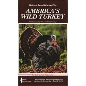 America's Wild Turkey [VHS]