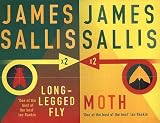 Long-Legged Fly and Moth