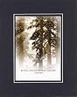 Be Still, and Know That I Am God - Psalm 46:10 . . . 8 x 10 Inches Biblical/Religious Verses set in Double Beveled Matting - A Timeless and Priceless Poetry Keepsake Collection