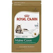 ROYAL CANIN BREED HEALTH NUTRITION Maine Coon dry cat food, 6-Pound
