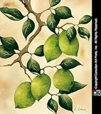 Italian Harvest - Limes - Artist: Doris Allison - Art Print Poster Size: 12.00 by 15.75 inches