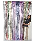Fun Express Metallic Rainbow Foil Fringe Curtains (1 Piece)