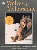 The Wolves of Yellowstone (Wildlife)