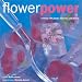 Flower Power: Cooking with Petals, Blossoms and Blooms