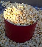 Kettle Corn! Big 2 Gallon Tin-Perfect for Gift!