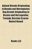 Animal Breeds Originating in Bosnia and Herzegovina: Dog Breeds Originating in Bosnia and Herzegovina, Tornjak, Bosnian Coarse-Haired Hound