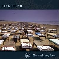 A Momentary Lapse of Reason