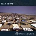 A Momentary Lapse of Reason