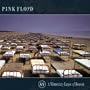 A Momentary Lapse of Reason