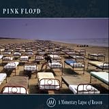 A Momentary Lapse of Reason