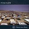 A Momentary Lapse of Reason
