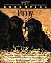 The Essential Puppy (Essential Guide)