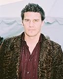 DAVID BOREANAZ 24X36 COLOUR POSTER PRINT