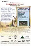 picture of Shrek [DVD] [2001]