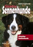 Schweizer Sennenhunde
