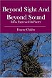 Beyond Sight and Beyond Sound: ideas expressed in poetry