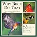 Why Birds Do That: 40 Distinctive Bird Behaviors Explained & Photographed