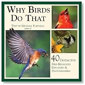 Why Birds Do That: 40 Distinctive Bird Behaviors Explained & Photographed