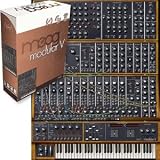 Moog Modular V