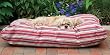 Indoor Outdoor Bed - 27" x 36" - Green