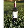 Picnic Plus Wine Bottle Holder - Silver