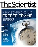 The Scientist