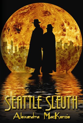 seattle sleuth