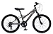 Pacific Outdoor Wilderness Series Trail Tamer Mountain Bike (20-Inch Wheels)