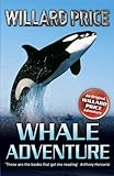 Whale adventure