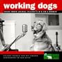 Working Dogs: Tales from Animal Planet's K-9 to 5 World