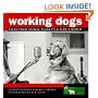 Working Dogs: Tales from Animal Planet's K-9 to 5 World