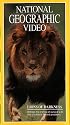 National Geographic's Lions of Darkness [VHS]