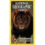 National Geographic's Lions of Darkness