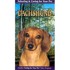 Selecting and Caring For Your Pet Dachshund [VHS]