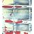 Gerhard Richter: Forty Years of Painting: 40 Years of Painting