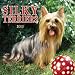 Silky Terriers 2005 Calendar