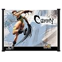 Super Street Fighter IV 4 Game Cammy Fabric Wall Scroll Poster (21"x16") Inches