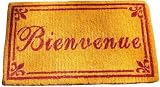 Bienvenue Sunny Gold and Red edged French heavy coir doormat 28 by 17 inches