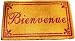Bienvenue Sunny Gold and Red edged French heavy coir doormat 28 by 17 inches